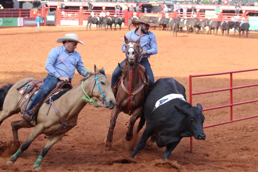 conhecidos-os-trios-do-team-penning-classificados-para-o-barretos